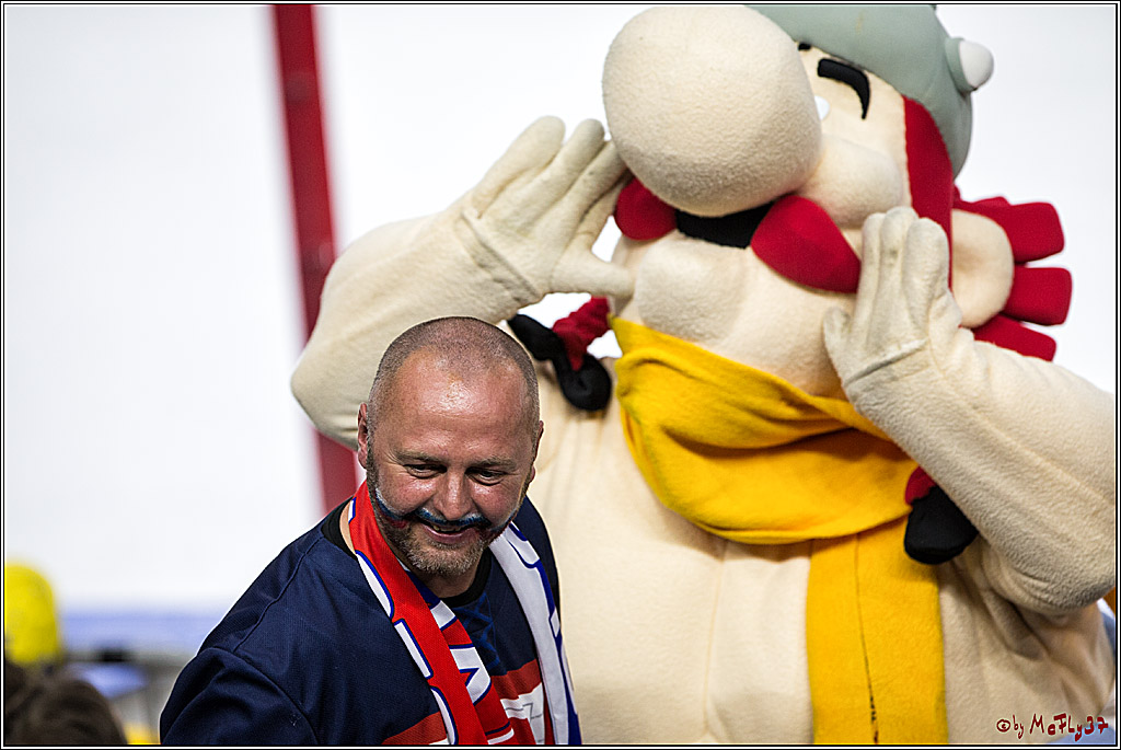 IIHF WM 2017, Daenemark - Schweden, 14.05.2017